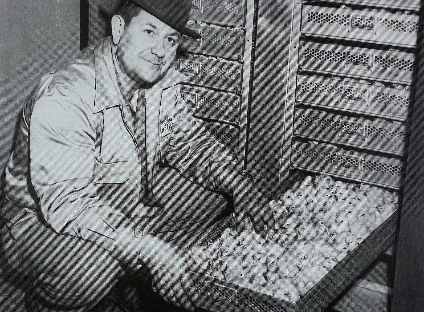 Eldo Grogan kneeling beside baby chicks inside a poultry operation.